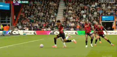 img, ws, net img, ws, net