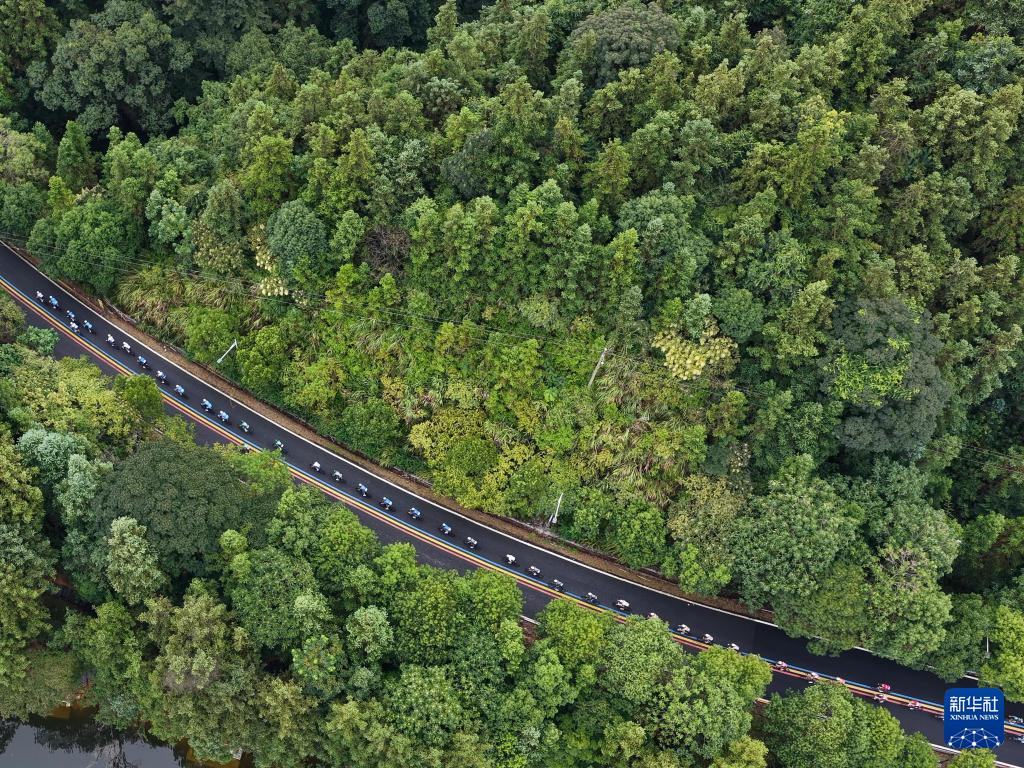 赛在江西省, entit, cn 赛在江西省, entit, cn