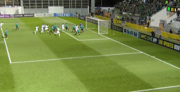 柏杨头球冲 柏杨头球冲